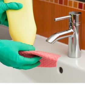 Sanitary - Cleaning