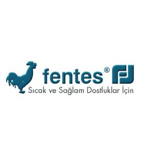 Fentes Isı Sistemleri