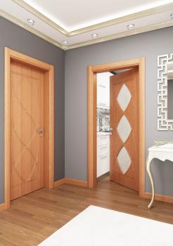 Luxury interior room door